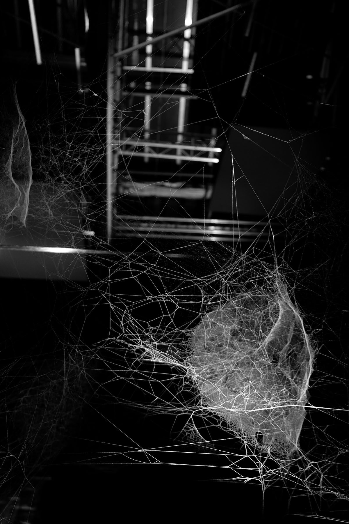 Estela Currao - Hommage à Tomás Saraceno. ON AIR III Hommage à Tomás Saraceno. ON AIR III - Fotografía / Photographie. Medium: Digital BNW photography, Year: 2018. — Estela Currao.