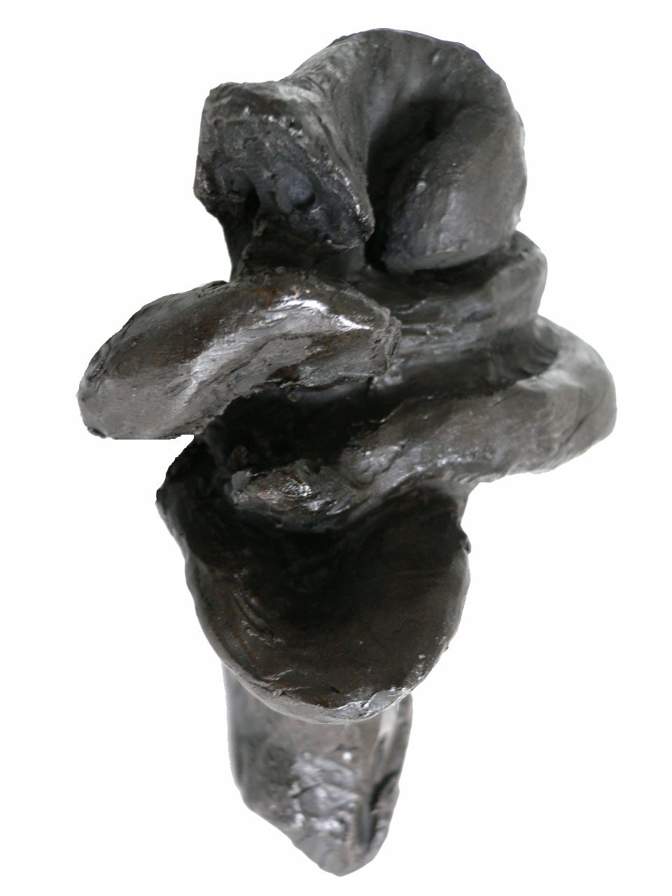 Matriz orgánica - Escultura / Sculpture. Medium: Patinated terracotta, Year: 2005. — Estela Currao.
