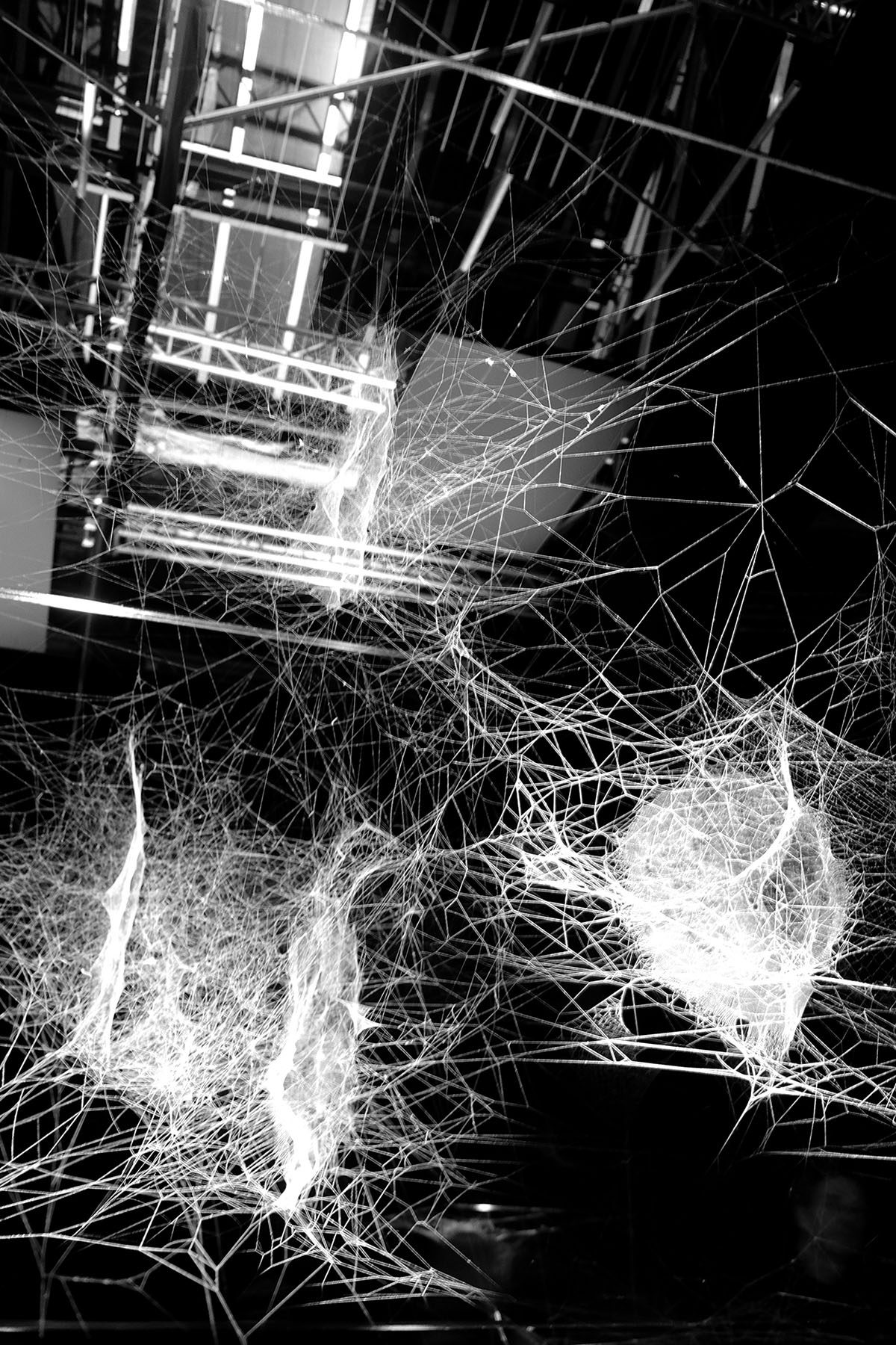 Hommage à Tomás Saraceno. ON AIR - Fotografía / Photographie. Medium: Digital BNW photography, Year: 2018. — Estela Currao.