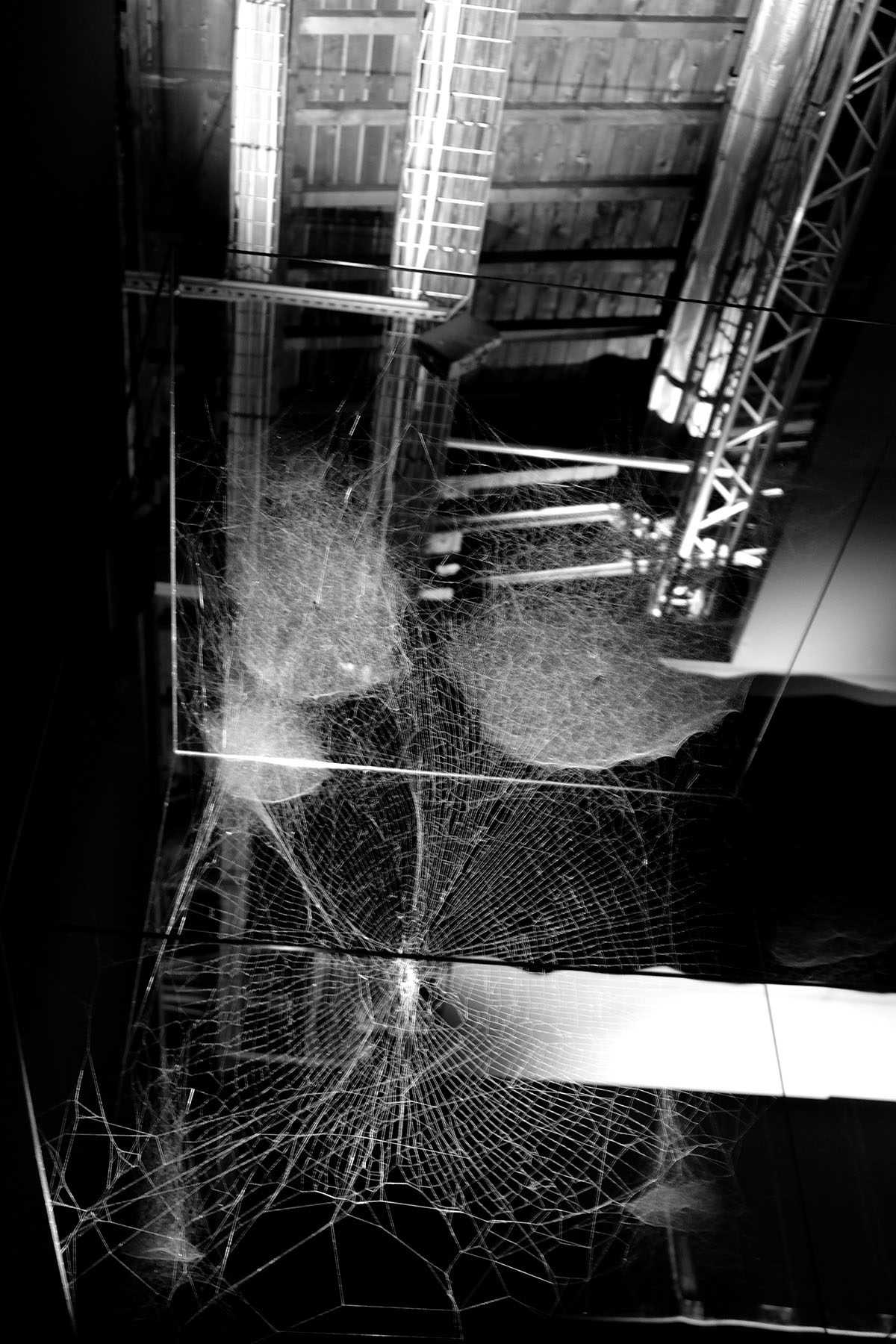 Hommage à Tomás Saraceno. ON AIR II - Fotografía / Photographie. Medium: Digital BNW photography, Year: 2018. — Estela Currao.