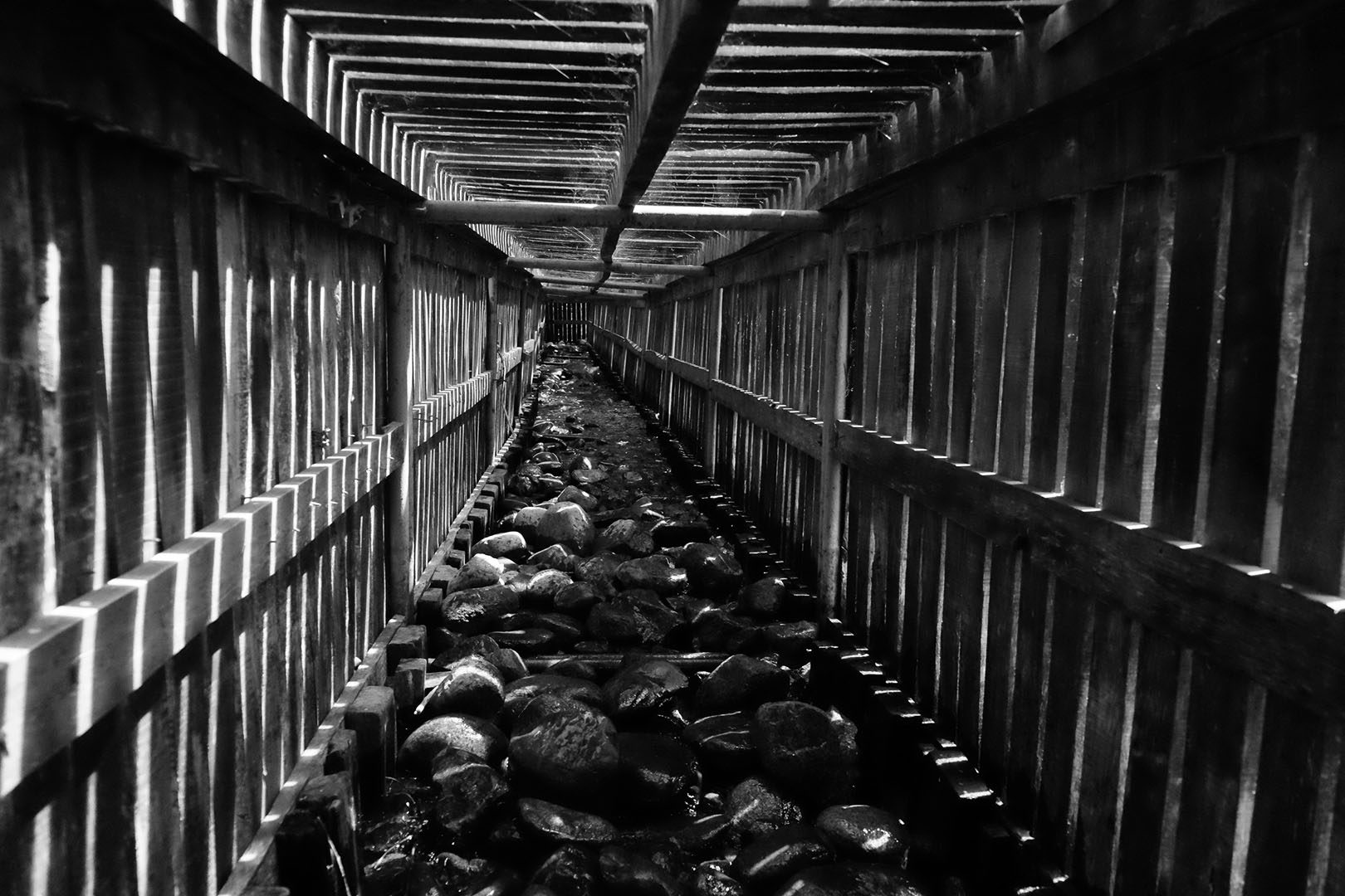 La memoria del túnel - Fotografía / Photographie. Medium: Digital BNW photography, Year: 2019. — Estela Currao.