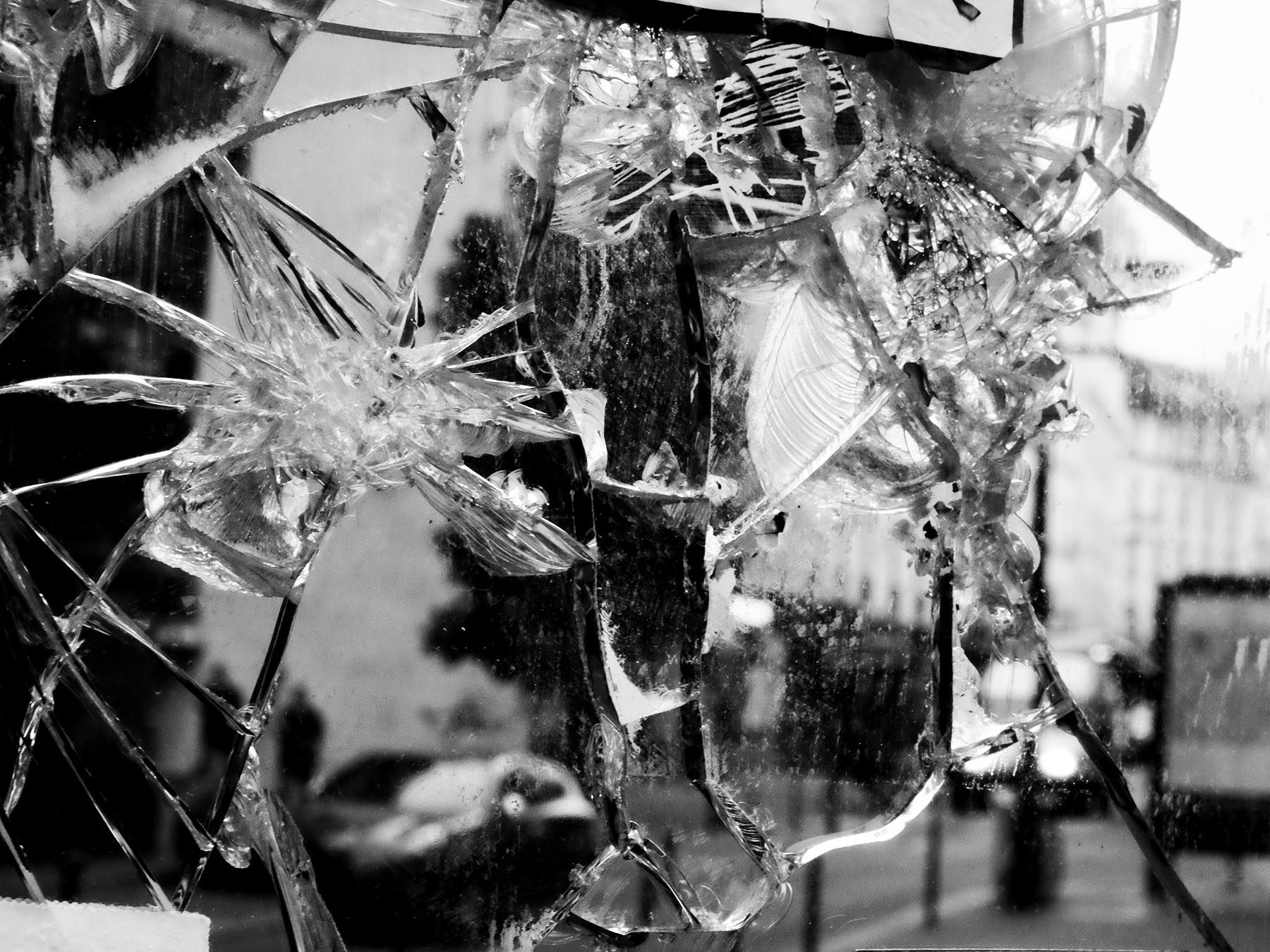 Fragmentos - Fotografía / Photographie. Medium: Digital photography, Year: 2023. — Estela Currao.